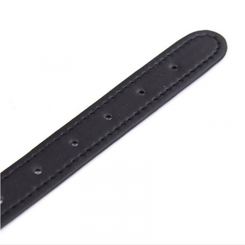 Шипастый ошейник photo 1