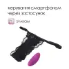 Смарт-вибратор в трусики Svakom Edeny с трусиками photo 2
