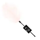 Щекоталка со страусиным пером Art of Sex - Feather Tickler, цвет Светло-розовый photo 1