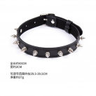 Шипастый ошейник photo 4